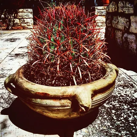 Poggio Di Mare Bed & Breakfast 3*
