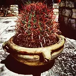 Poggio Di Mare Bed & Breakfast 3*